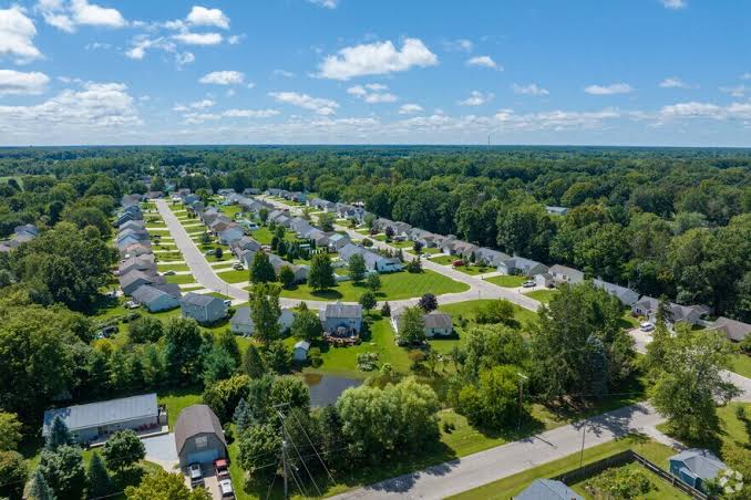 clio-1